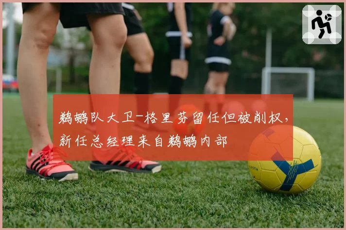 鹈鹕队大卫-格里芬留任但被削权，新任总经理来自鹈鹕内部