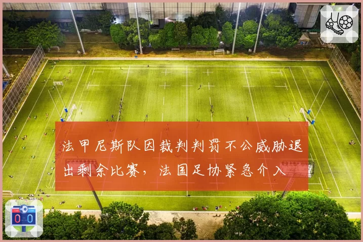 法甲尼斯队因裁判判罚不公威胁退出剩余比赛，法国足协紧急介入