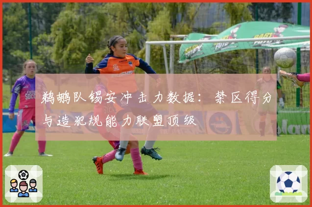 鹈鹕队锡安冲击力数据：禁区得分与造犯规能力联盟顶级