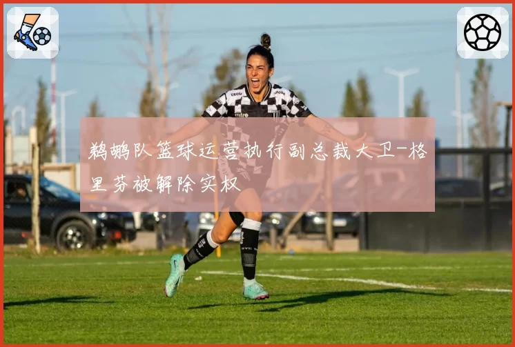 鹈鹕队篮球运营执行副总裁大卫-格里芬被解除实权