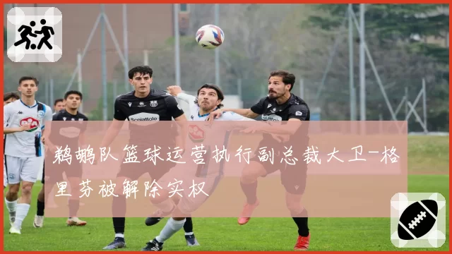 鹈鹕队篮球运营执行副总裁大卫-格里芬被解除实权