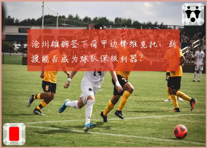 沧州雄狮签下荷甲边锋维克托，新援能否成为球队保级利器？